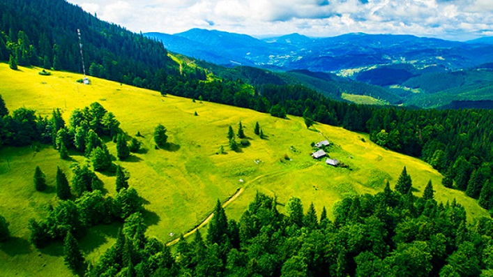 Карпати м. Ворохта, Івано Фрвнківська обл, Схили Карпат